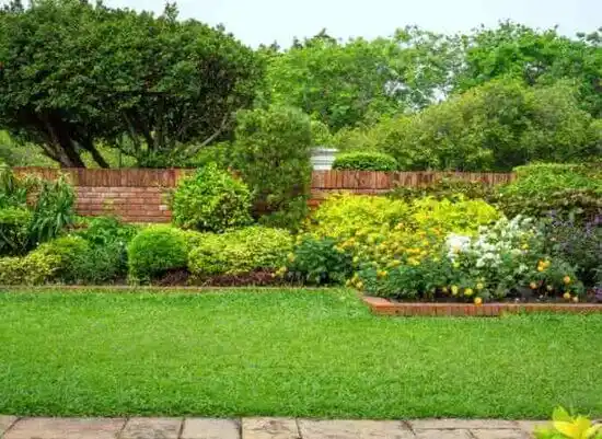 landscaping services Topaz Ranch Estates